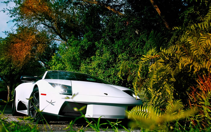 �����·��ϵ�ù�����ȥ����